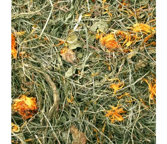06970 2 image