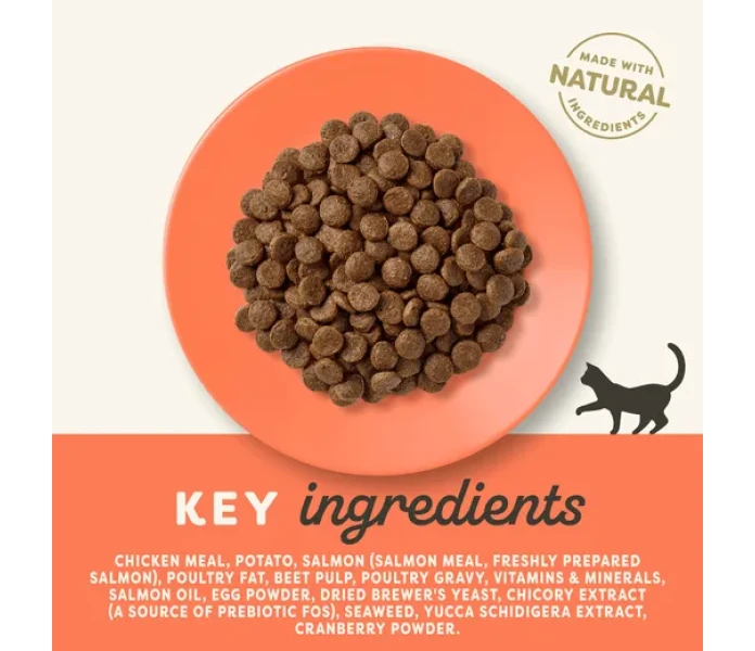 4073 Ingredients Dry EN 3000px 1 kuva