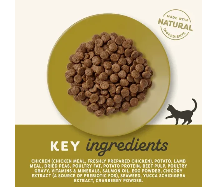 4074 Ingredients Dry EN 3000px 1 kuva