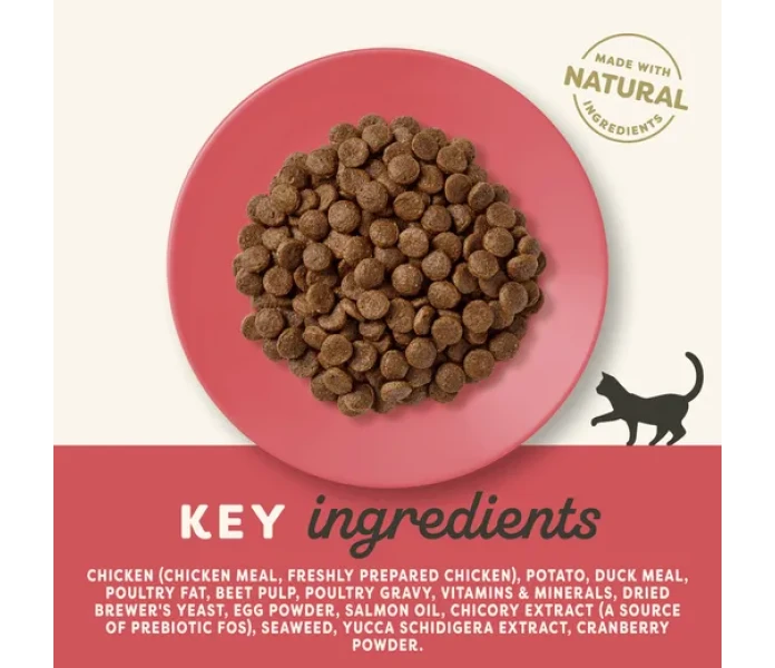 4304 Ingredients Dry EN 3000px kuva