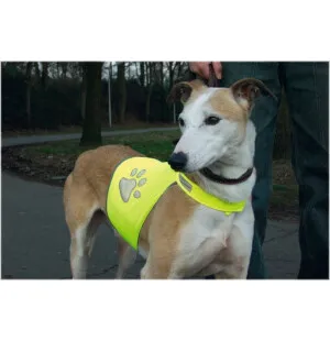 Beeztees turvaliivi keltainen koko S image