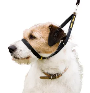 Canny vedonestopanta koko 7 Musta image