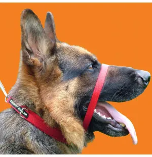 Canny vedonestopanta koko 5 punainen image