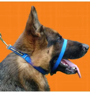 Canny vedonestopanta koko 6 sininen image