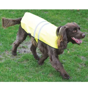 Happy Pet Huomioliivi Keltainen koko 60 cm image