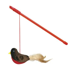 Happy Pet Rocking Robin Teaser kuva