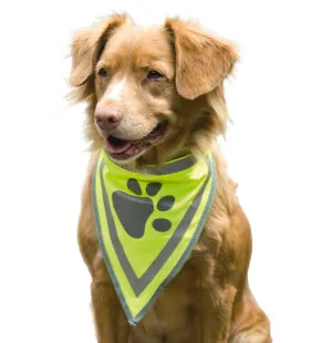 Heijastava huivi tassukuviolla L 46-50cm image