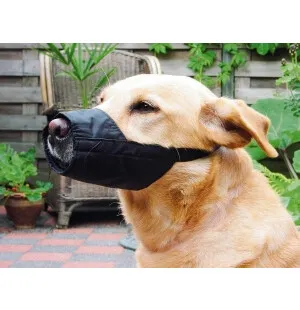 Kuonokoppa nailonia L special 22 cm lyhyt kuono kuva