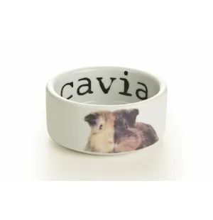 Keraaminen kuppi marsuille 10 cm kuvalla kuva