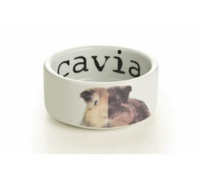 IP801710 kuva