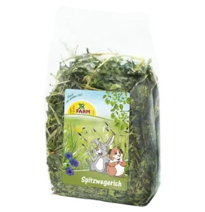 Jr-Yrtti Heinäratamo 100 g image