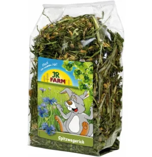Jr-Yrtti Heinäratamo 100 g image