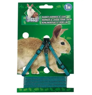 H - Valjas ja talutin kanille, pituus 1m, nylon kuva