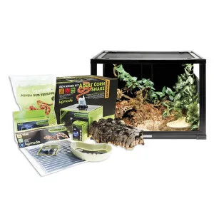 Komodo Advanced aloituspakkaus viljakäärme image