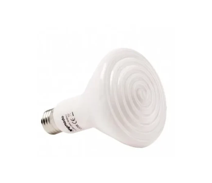 KO45520 1 image