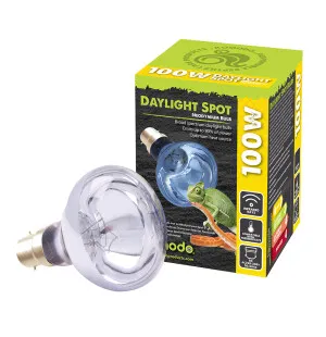 Neodymium Daylight Spot Bulb ES 100W image