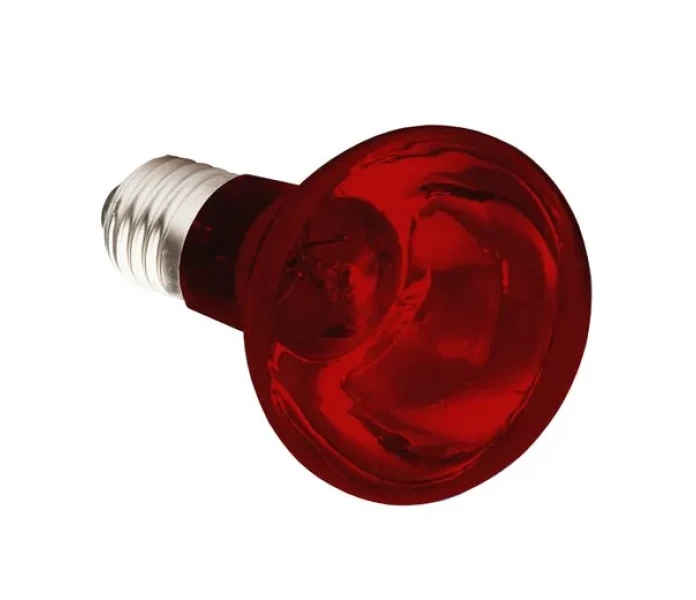 KO82223 v2 image