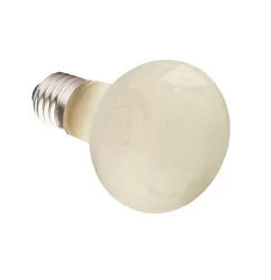 Basking Spot Bulb ES 50W image