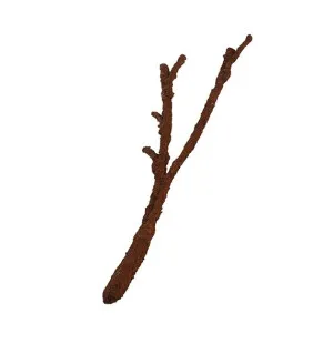 Komodo Natural Tropical taivuteltava köynnös oksa kuva