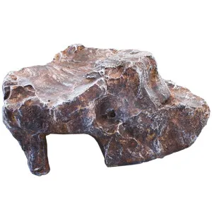 Komodo kolo/piilo ruskea L 24x20x8cm kuva