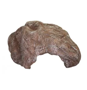 Komodo kolo/piilo keskikokoinen 20cm kuva