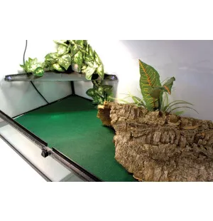 Komodo Reptile Carpet 120x60cm kuva