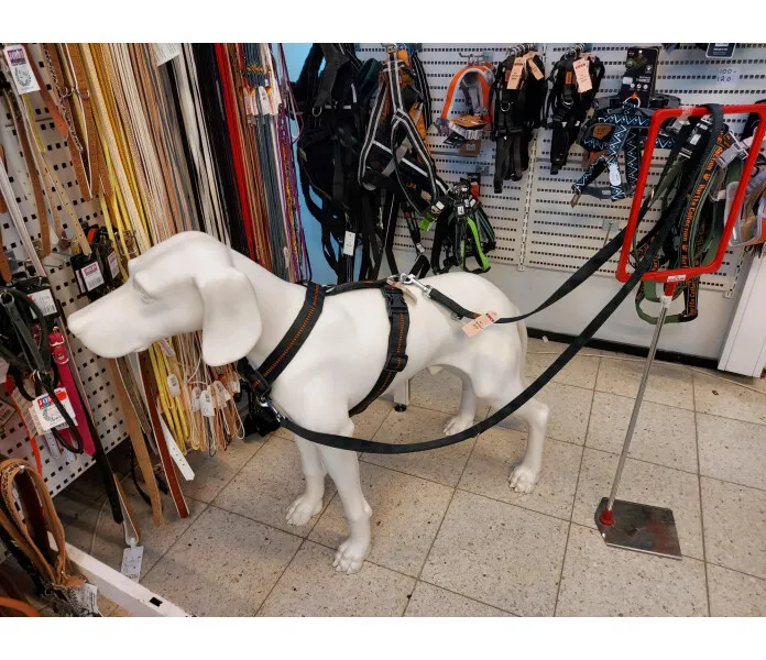 20220330 133845 kuva