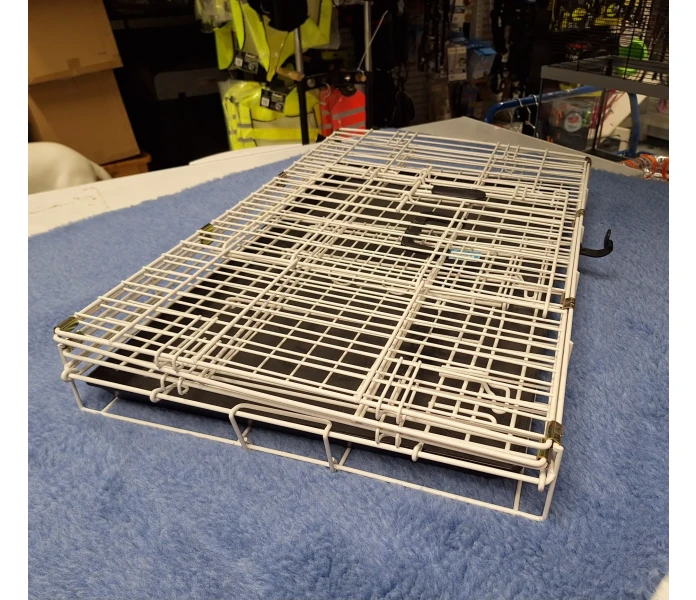 20250324 162505 image