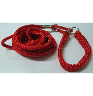 Näyttelyremmi, nylon 3mm x 120 cm punainen image