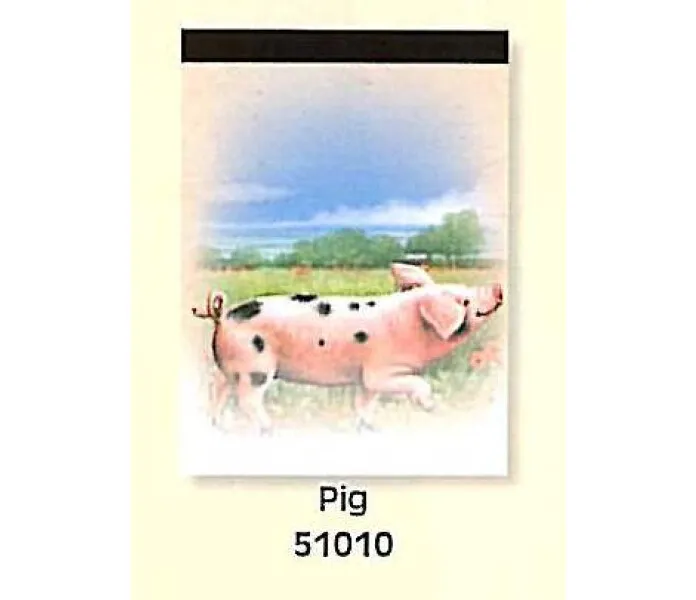 OH51010 kuva