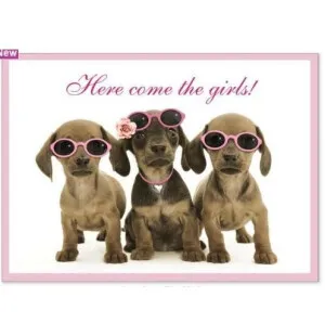 Ruokinta-alusta PIENI Here Come the Girls 30x42cm image