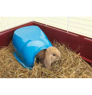 Muovitalo kaneille & jyrsijöille 34,5x26,5x16cm kuva