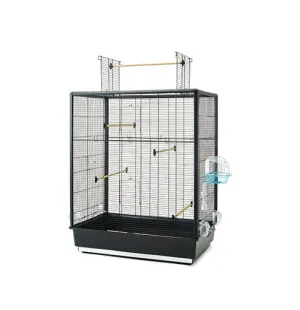 Primo 60 Open Empire, linnun häkki 80x50x115 cm image