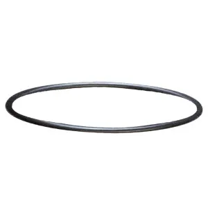 Sera Filter head seal for sf ba 130/130 +UV kuva