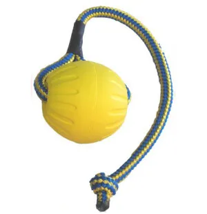 Starmark Swing & Fling Durafoam Pallo köydessä L kuva