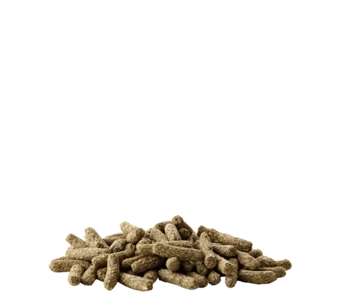 5410340613108food54 image