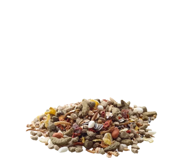 5410340614235food77 image