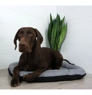 Tujoma Basic Nummi-patja M harmaa kuva