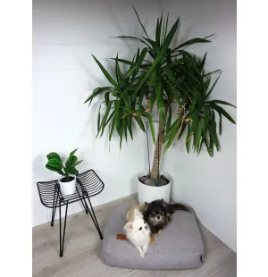 Tujoma Luxus Muurila-patja S vaaleanharmaa kuva