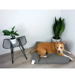 Tujoma Basic Oinaala-patja M  hiekanharmaa kuva