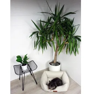 Tujoma Luxus Vaimare sohvapeti S beige kuva