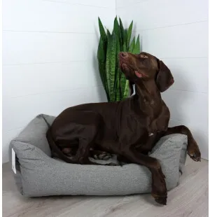 Tujoma Basic Ahoinen sohvapeti M hiekanharmaa kuva