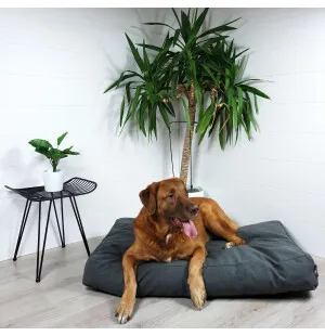 Tujoma Basic Oinaala paksu patja L tummanharmaa kuva