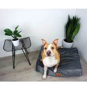 Tujoma Luxus Muurila paksu patja M harmaa kuva