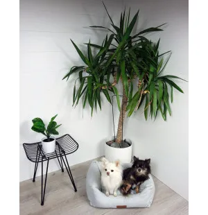 Tujoma Luxus Vaimare sohvapeti S kylmä harmaa kuva