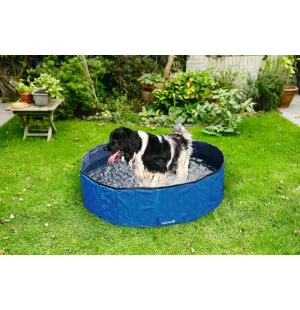 Beeztees Uima-allas koiralle 120x120x30cm image