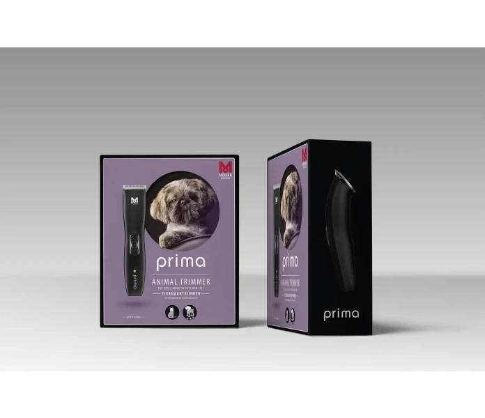 MicrosoftTeams image 9 51495 image