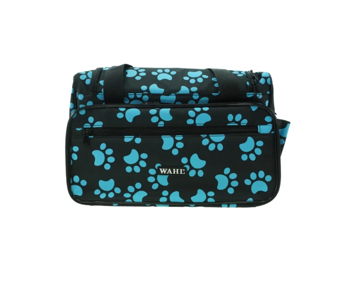 0093 6285 frontal 1  kuva