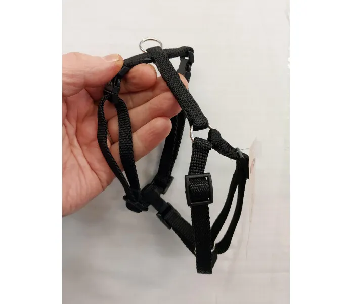 20220310 164722 image