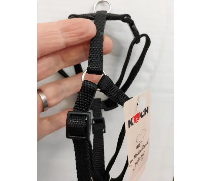 20220310 164744 image